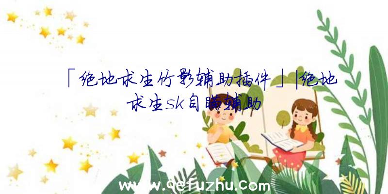 「绝地求生竹影辅助插件」|绝地求生sk自瞄辅助